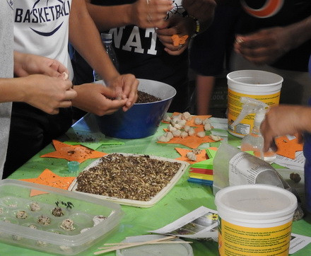 Kids make "seed bombs" with Openlands.