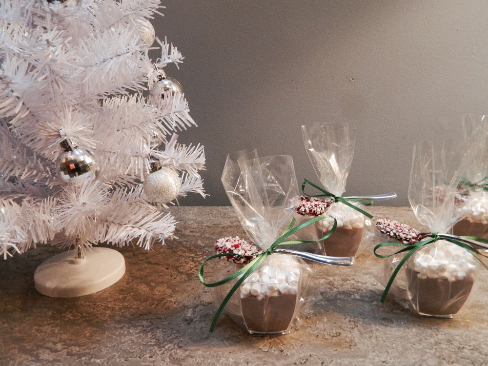 Vanilla Bean Hot Cocoa Mix