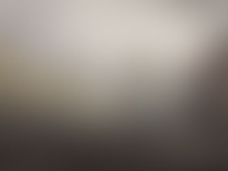 Le 5 giornate di Milano