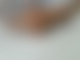 Tudo o que você precisa saber sobre Marchetarias Autoadesivas antes de comprar para suas gaiolas