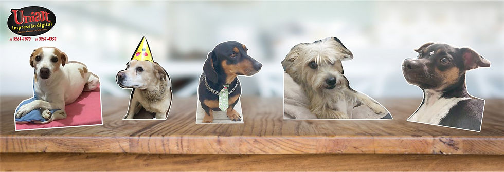 Vários mini-totens de cachorrinhos