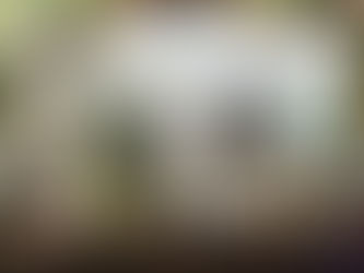 Economia criativa: como decorar com pouca grana