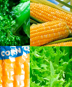 FRESH PRODUCE