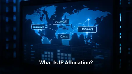 What Is IP Allocation?