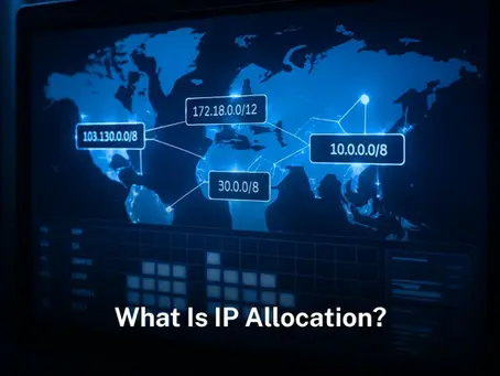 What Is IP Allocation?