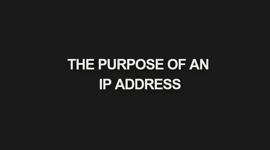 The Purpose of An IP Address - NRS.help