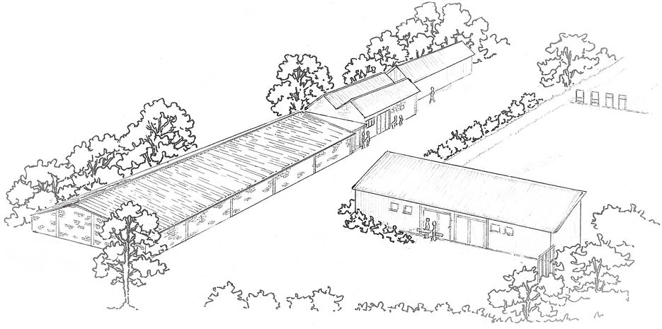 drawing for flyer (2)_edited.jpg