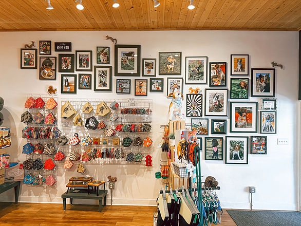 Rebel-Paw-Gallery-Wall.JPG