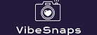 VibeSnaps Logo