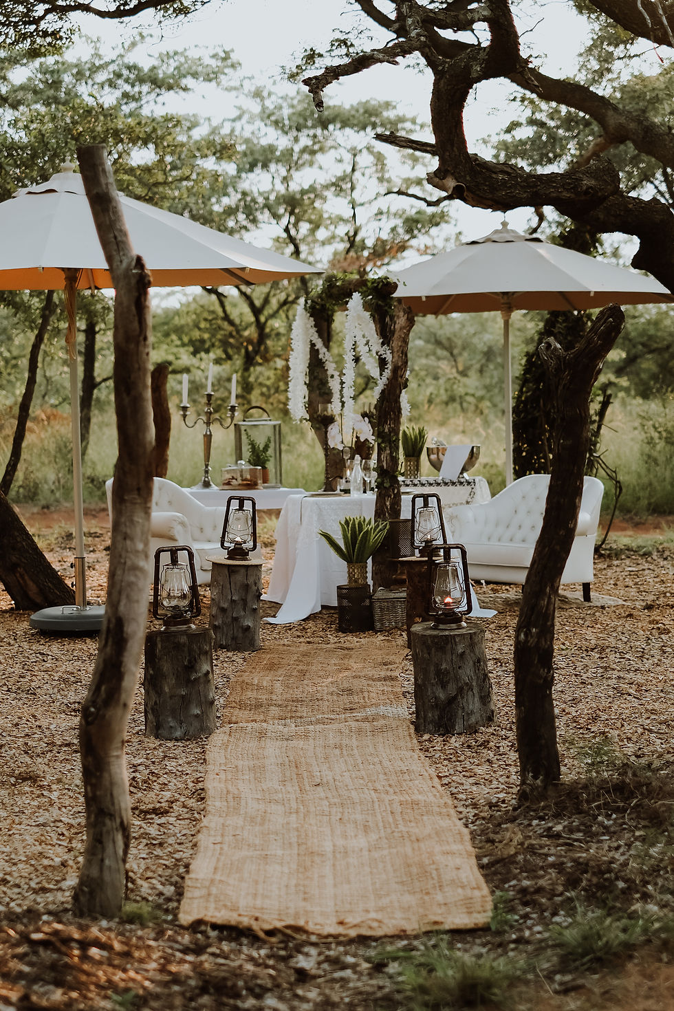 Bushveld Picnic
