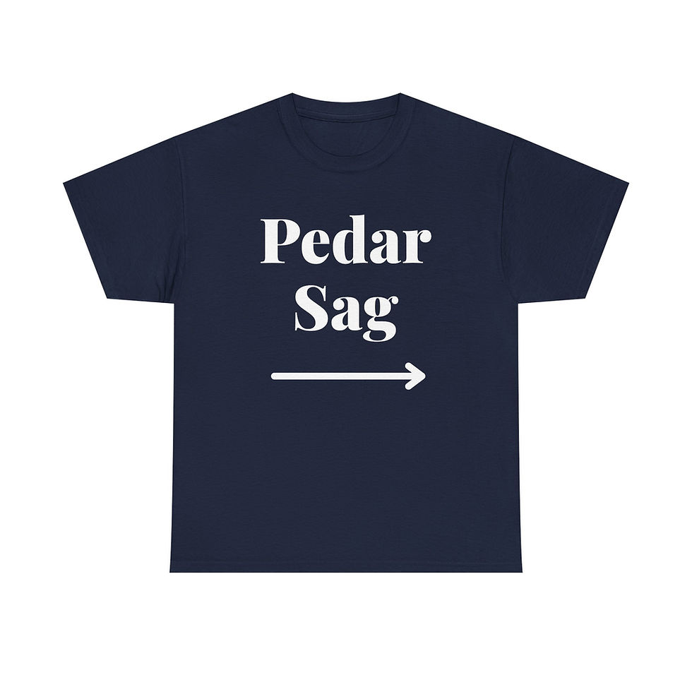 Thumbnail: funny navy persian pedar sag t shirt