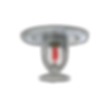 images (1)_edited.png