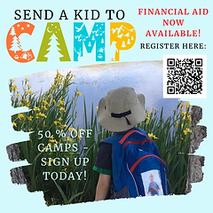 Scholarships now available! (1).png