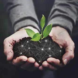 fertilizer.webp