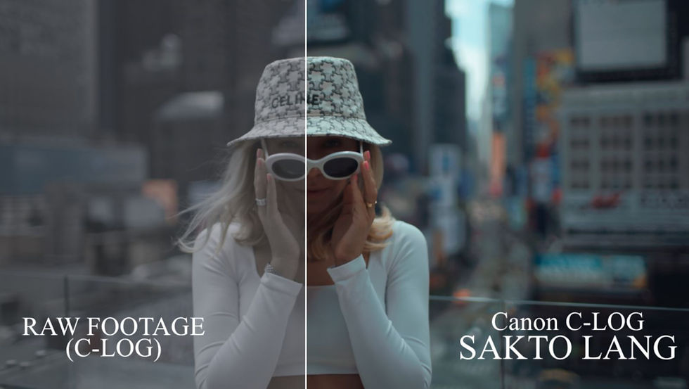 Thumbnail: Ryan Audencial Canon LUTs Pack