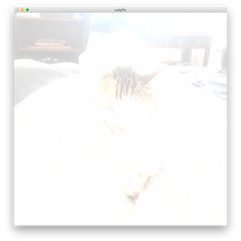 My cat Lady brightened 200 bound