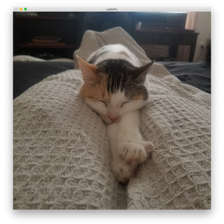 My cat Lady