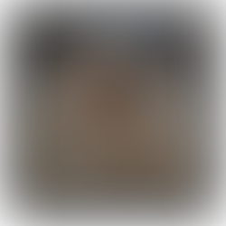 BGRPhotoResized+LadyPic merged with additive darkness transfer with uint8 overflow (unbound)