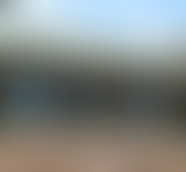 Community STEM Project