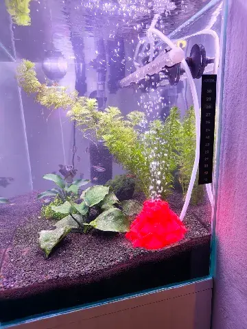 Aquarium Volcano Decor with Hose Opening for Air Stone – Stable and Fun Design!