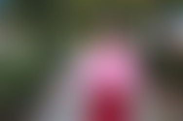 メロディ会セントレアのつどい