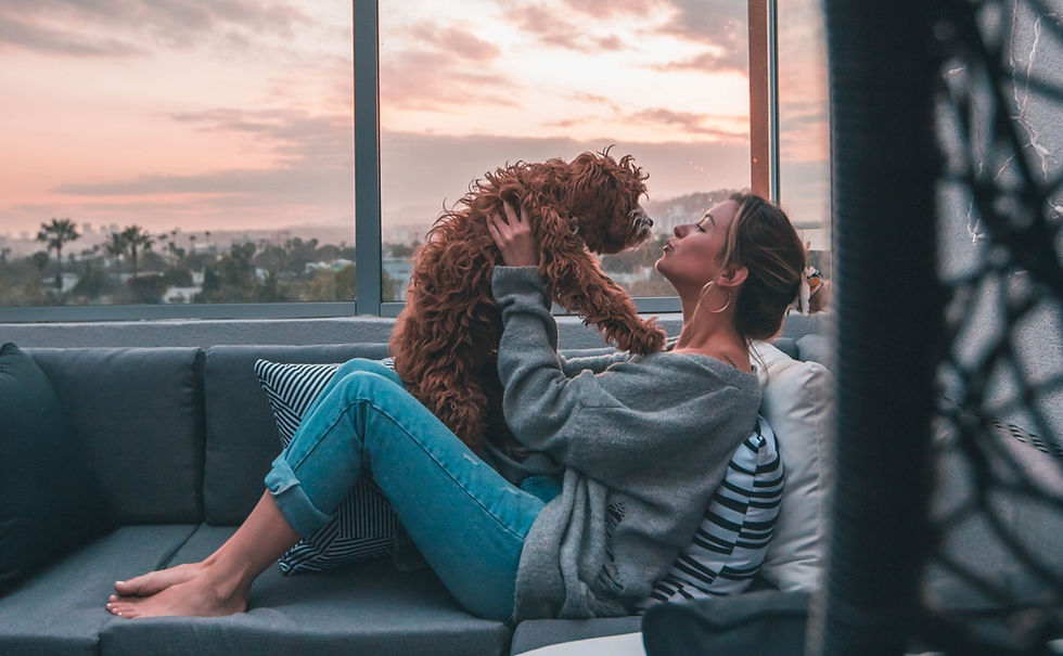roberto-nickson-_JGVVEfbTVQ-unsplash_edited_edited.jpg