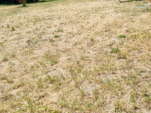 Eintrag in das Buddelbuch – Euphelia am 15. Juni