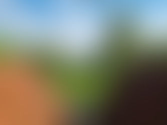 Eintrag in das Buddelbuch – Euphelia am 26. Mai