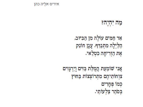 הרבה מילים על מילה אחת: פחד
