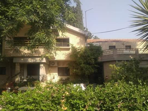 הרבה מילים על מילה אחת: בית
