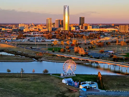 easy lawn hero image.webp