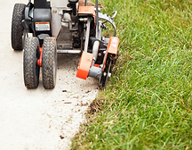 1 11 (1).png