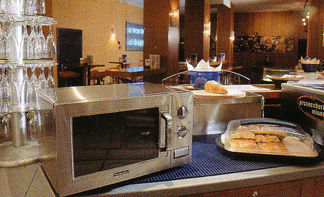 Miniature : NE-1027 PANASONIC 1000W - 1 ASSIETTE