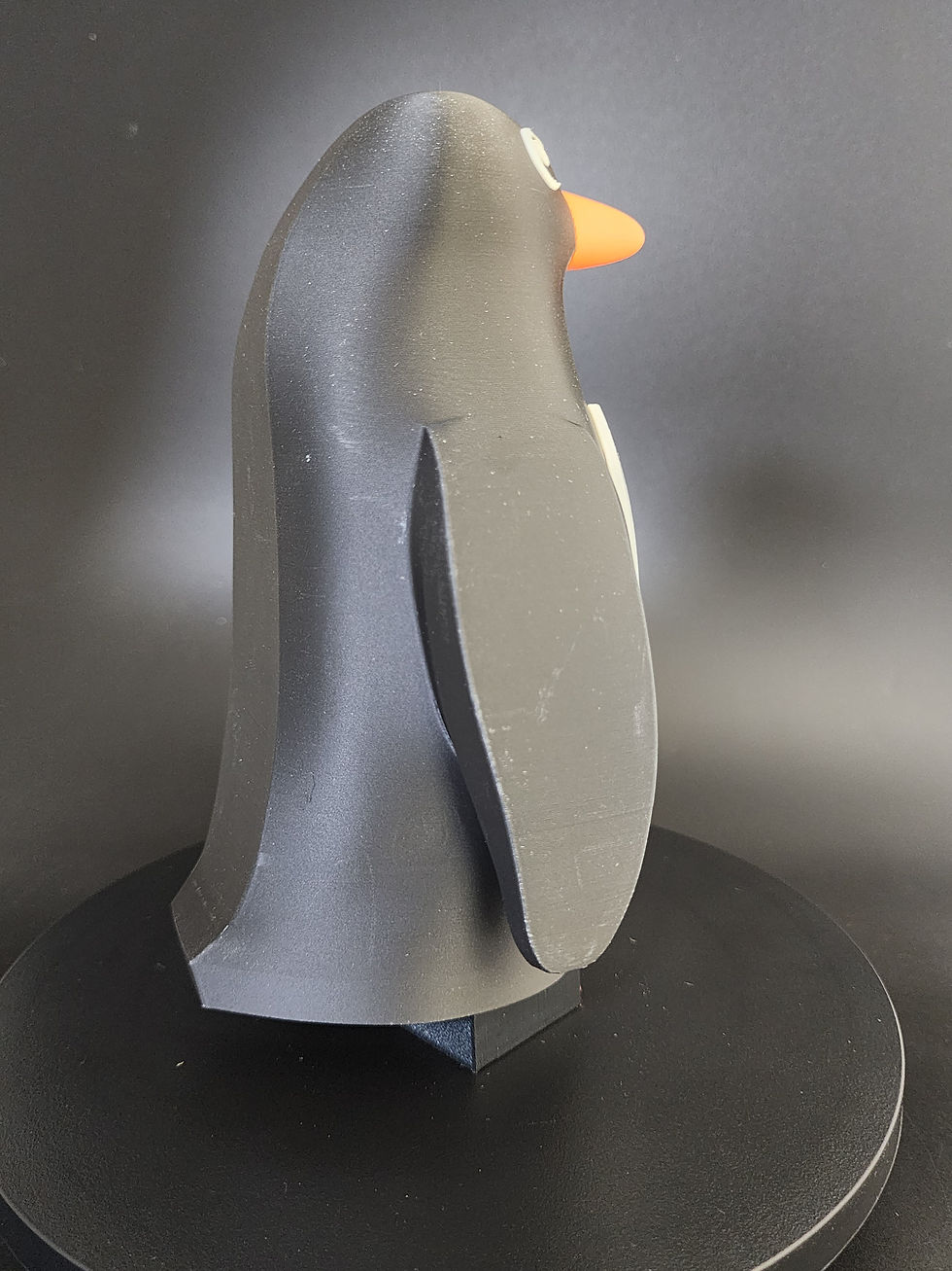 Thumbnail: Penguin man