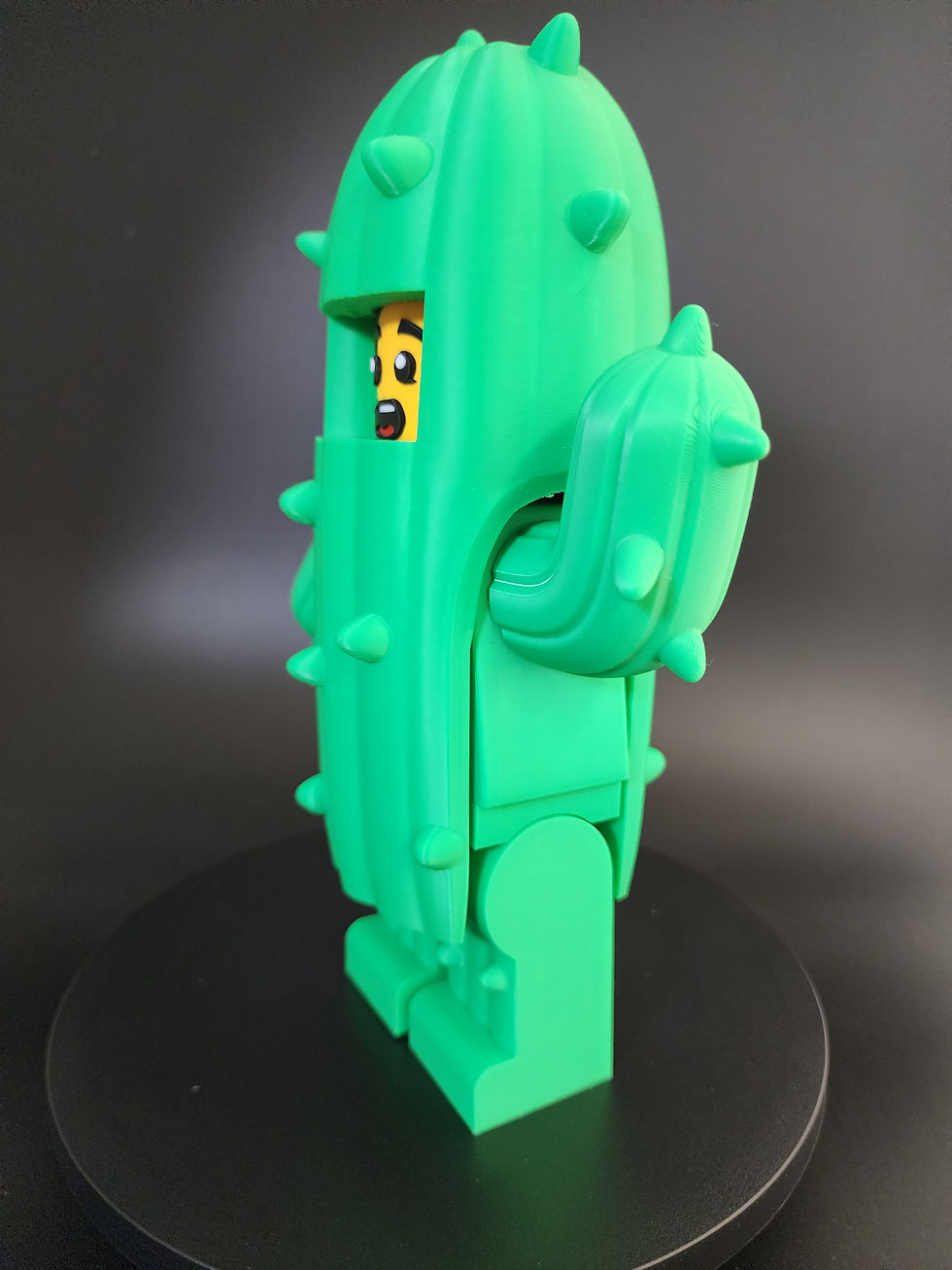 Thumbnail: Cactus man