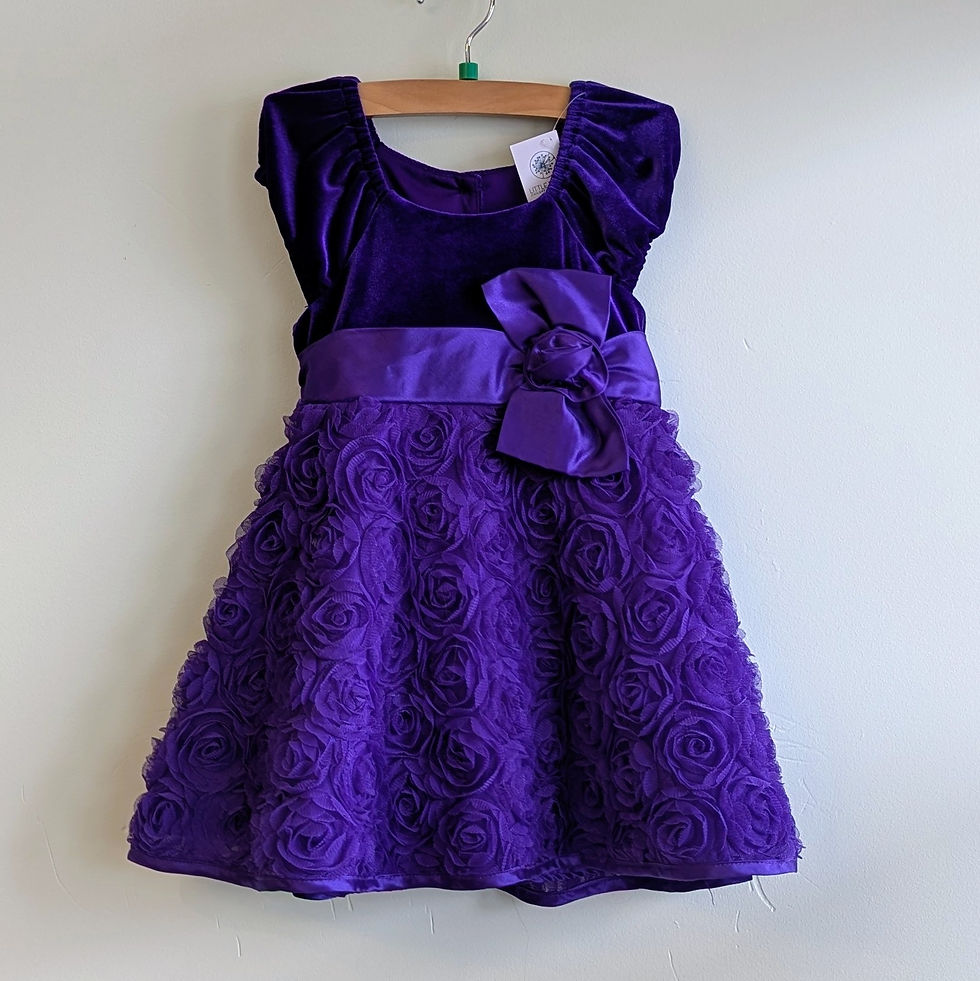 Jona Michelle Party Dress 2T