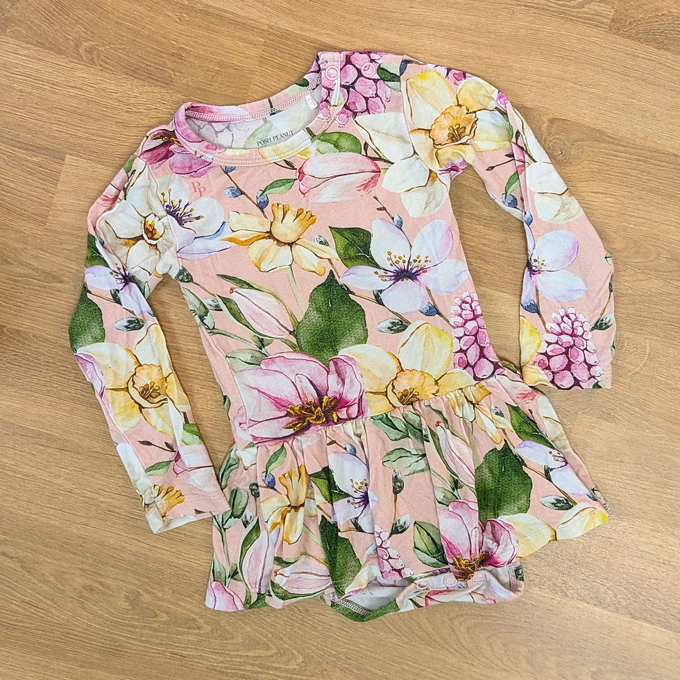 Thumbnail: Posh Peanut Floral Bodysuit Dress Sz 12M