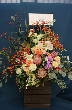 arrange large (1).JPG