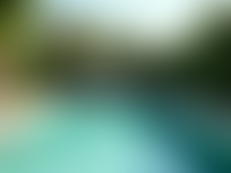 Idées de design de piscines pour votre jardin