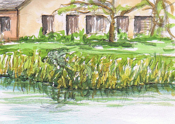 CP-B2b Edisto Island