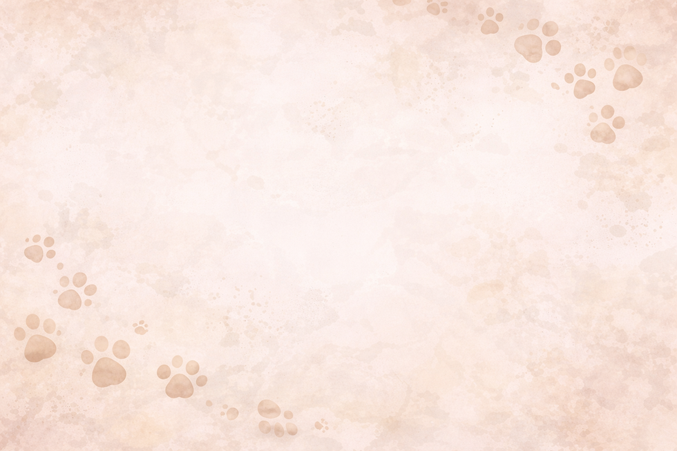 fondo patitas.png