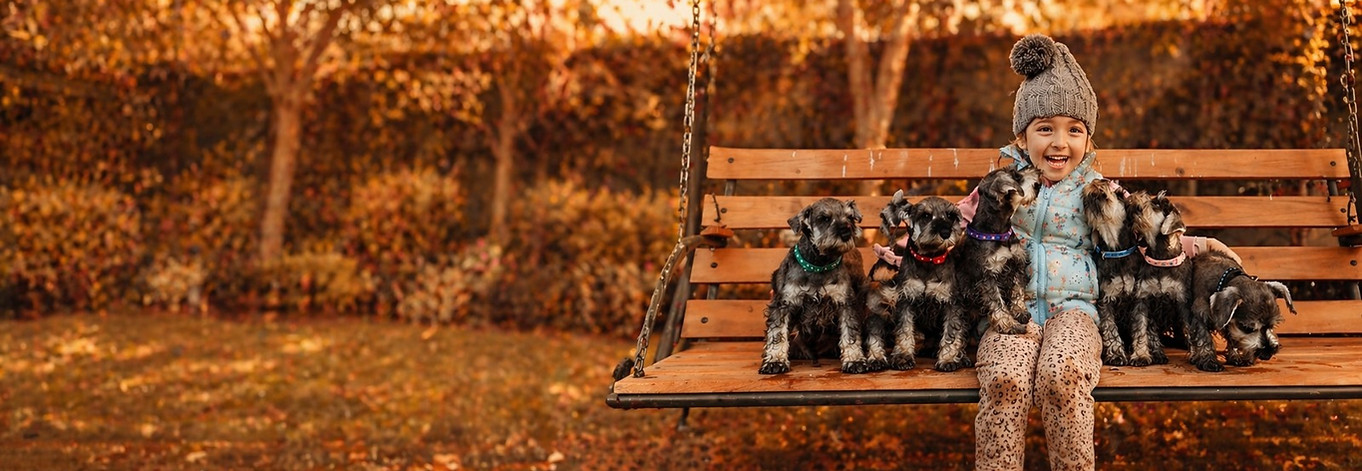 Criadero Mundo Canino - Imagen 27