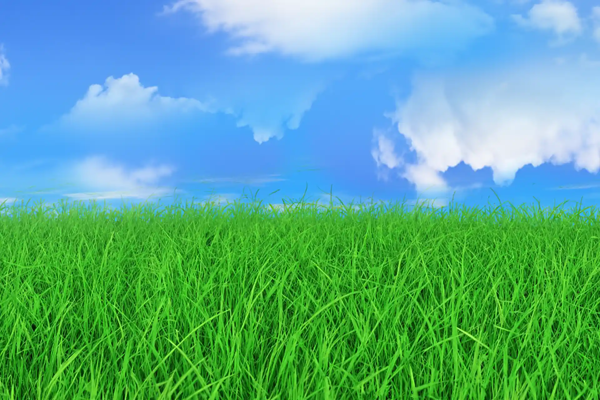 Casa dos Bosques Background.webp