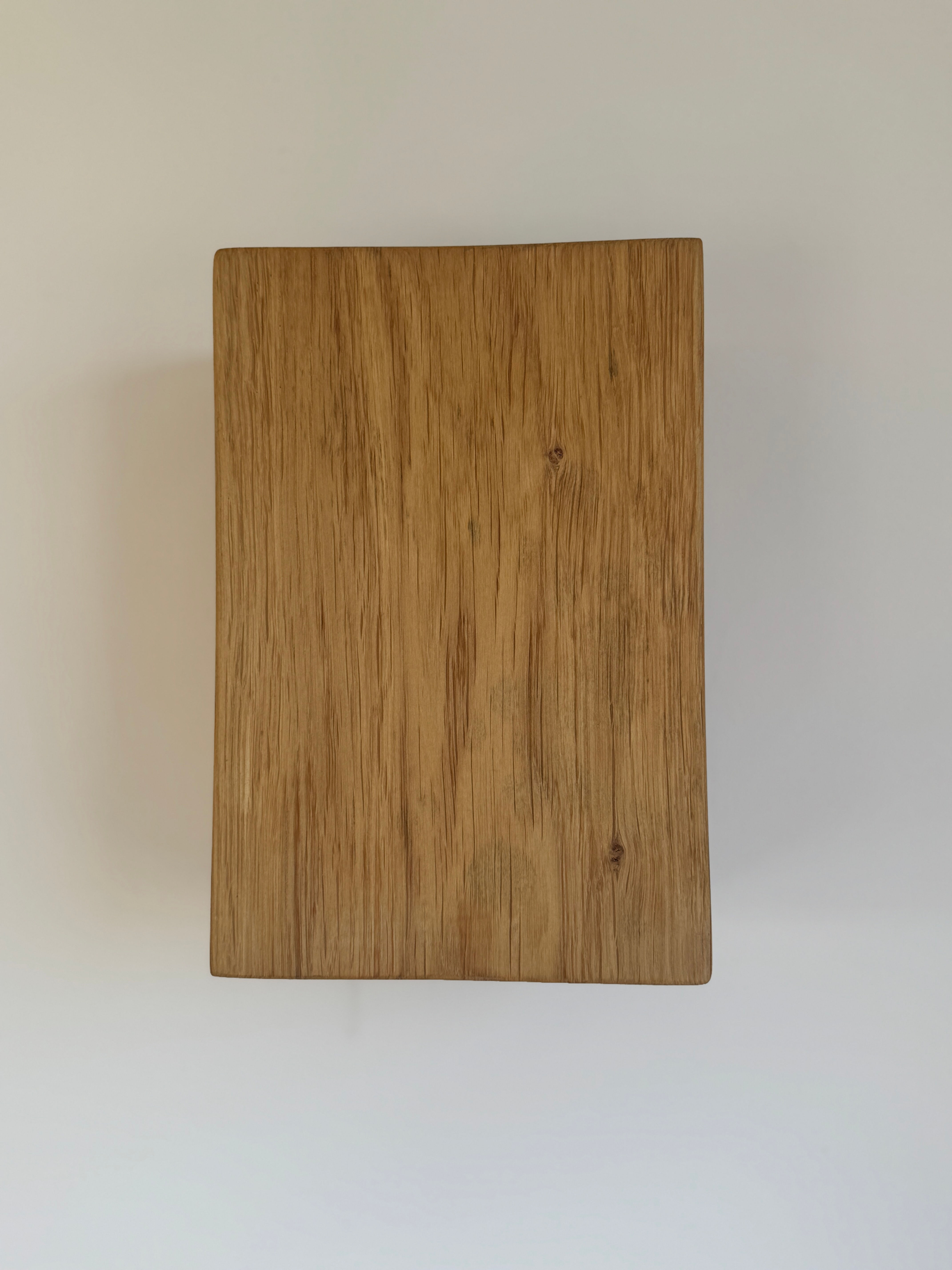 Eichen-Wandleuchte mit LEDs Einzelstück "Nr. 503"