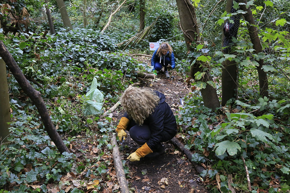 Cutting the paths