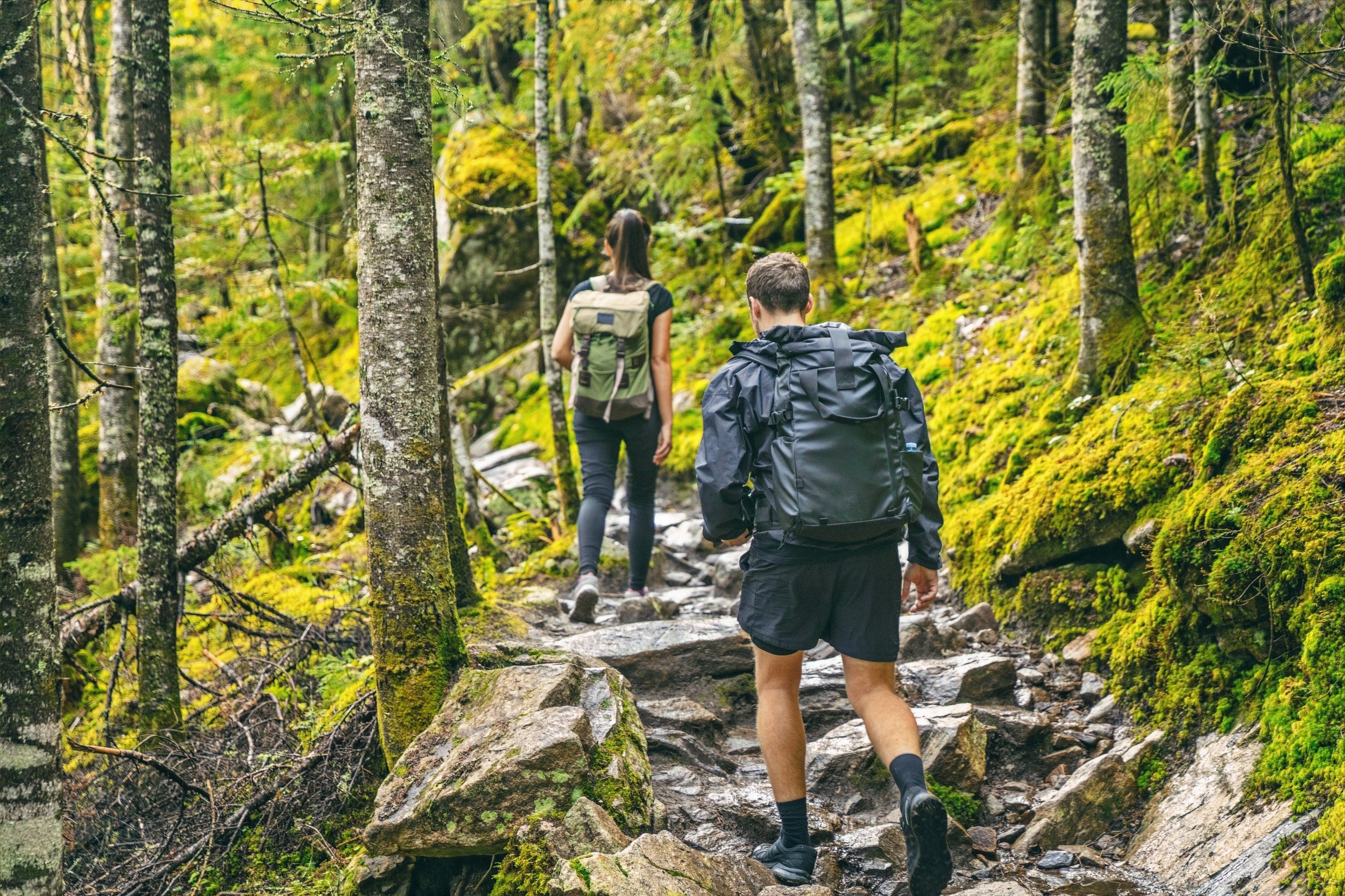 Mentone Tikabee Timbers