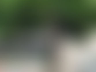 ðïžæ€ç©ã«ã¯å
±åã»å
±çã®æ
æãæºã¡æº¢ããŠãããðïž