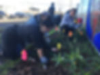Volunteers planting young native seedlings at Jingletown Garden in front of a painted and mosaic mural.