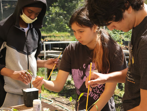Spring Stream Team 2026: Student Reflections
