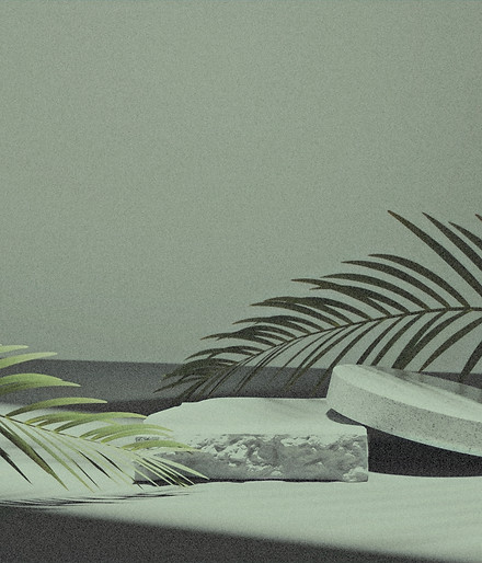 Minimalist Still Life